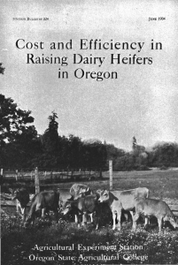 Co3t a..vi Efficiency ig Dairy Heifers ir. Oregon