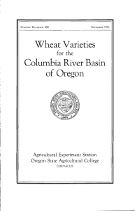 Wheat Varieties of Oregon Columbia River Basin for the