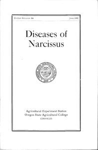 Diseases of Narcissus Agricultural Experiment Station Oregon State Agricultural College