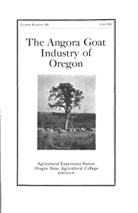The Angora Goat Industry of Oregon Oregon State Agricultural College