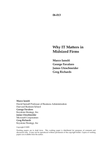 Why IT Matters in Midsized Firms  06-013
