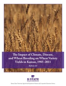 The Impact of Climate, Disease, and Wheat Breeding on Wheat Variety