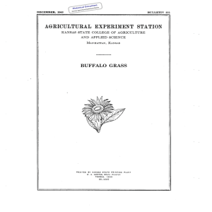 BUFFALO  GRASS Historical Document Kansas Agricultural Experiment Station