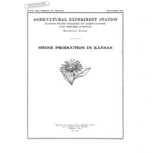 SWINE  PRODUCTION  IN  KANSAS Historical Document