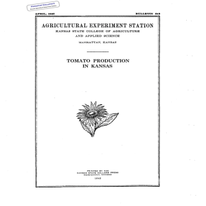 TOMATO  PRODUCTION IN  KANSAS Historical Document Kansas Agricultural Experiment Station