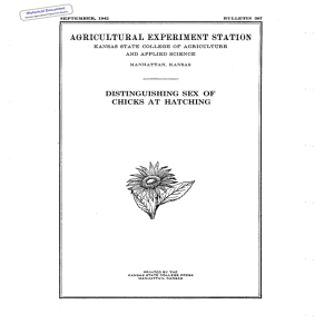 SEX OF DISTINGUISHING CHICKS AT HATCHING Historical Document