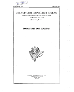 SORGHUMS FOR KANSAS Historical Document Kansas Agricultural Experiment Station