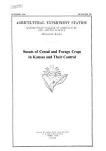 Smuts of  Cereal  and Forage in Kansas and Their Control Crops
