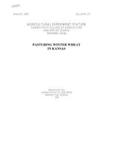 AGRICULTURAL EXPERIMENT STATION PASTURING WINTER WHEAT IN KANSAS KANSAS STATE COLLEGE OF AGRICULTURE