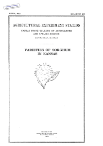 VARIETIES OF SORGHUM IN KANSAS Historical Document Kansas Agricultural Experiment Station