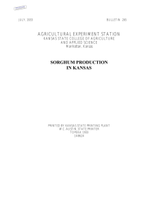 AGRICULTURAL EXPERIMENT STATION SORGHUM PRODUCTION IN KANSAS KANSAS STATE COLLEGE OF AGRICULTURE