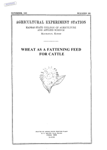 WHEAT AS A FATTENING FEED FOR CATTLE Historical Document Kansas Agricultural Experiment Station