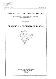 GROWING  AN ORCHARD  IN KANSAS Historical Document