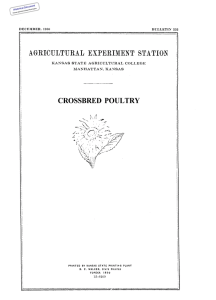 POULTRY CROSSBRED Historical Document Kansas Agricultural Experiment Station