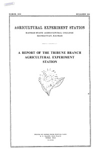REPORT OF TRIBUNE  BRANCH AGRICULTURAL  EXPERIMENT