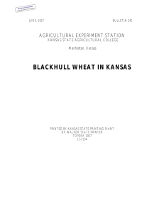 BLACKHULL WHEAT IN KANSAS AGRICULTURAL EXPERIMENT STATION KANSAS STATE AGRICULTURAL COLLEGE Manhattan, Kansas