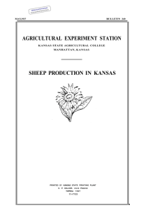 AGRICULTURAL EXPERIMENT STATION SHEEP PRODUCTION KANSAS