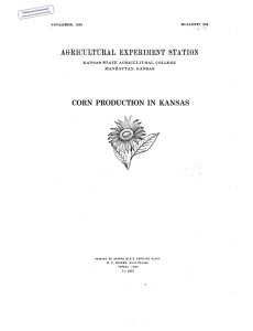 CORN PRODUCTION  IN  KANSAS Historical Document Kansas Agricultural Experiment Station