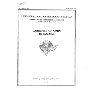 IN VARIETIES  OF  CORN KANSAS Historical Document