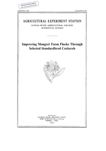 Improving Mongrel Farm Flocks Through Selected Standardbred Cockerels Historical Document