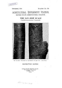 THE SAN JOSÉ SCALE (Aspidiotus perniciosus Historical Document Kansas Agricultural Experiment Station