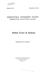Sudan Grass in Kansas Historical Document Kansas Agricultural Experiment Station