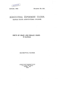 SMUTS OF GRAIN AND FORAGE CROPS IN KANSAS. Historical Document