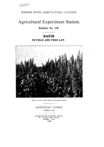 Station. Agricultural Experiment KAFIR