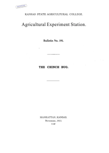 Agricultural Experiment Station. Bulletin No. THE CHINCH BUG.
