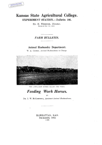 Feeding Horses. Work Historical Document