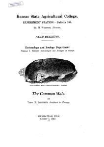 The Common Mole. BY Historical Document