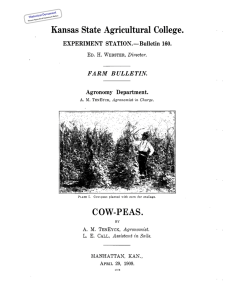COW-PEAS. Historical Document Kansas Agricultural Experiment Station