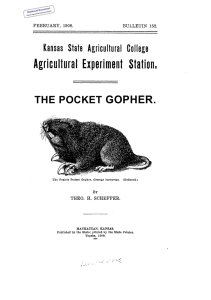 GOPHER. THE POCKET Historical Document Kansas Agricultural Experiment Station