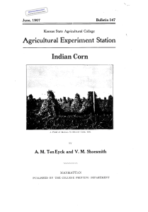 Indian Corn Historical Document Kansas Agricultural Experiment Station