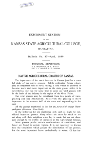 KANSAS STATE AGRICULTURAL COLLEGE, NATIVE AGRICULTURAL GRASSES OF KANSAS. EXPERIMENT STATION
