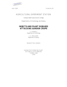 AGRICULTURAL EXPERIMENT STATION INSECTS AND PLANT DISEASES ATTACKING GARDEN CROPS