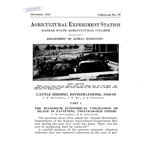 CATTLE  FEEDING  INVESTIGATIONS, 1918-19 THE MAXIMUM ECONOMICAL UTILIZATION OF