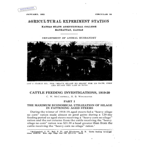 1919-20 CATTLE FEEDING  INVESTIGATIONS, a