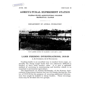 1919-20 LAMB  FEEDING  INVESTIGATIONS,