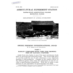 1919-20 SWINE  FEEDING INVESTIGATIONS,