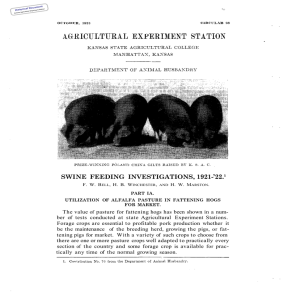 1921-’22.¹ SWINE FEEDING INVESTIGATIONS,