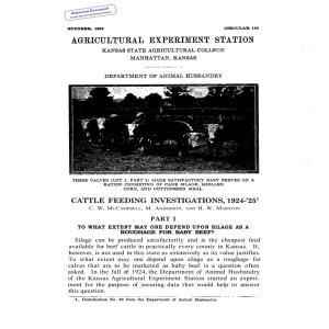 CATTLE FEEDING INVESTIGATIONS, 1924-’25 PART I