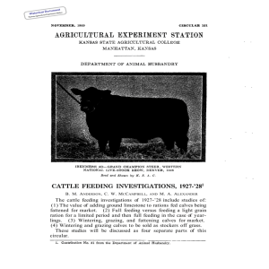 1927-’28 CATTLE FEEDING INVESTIGATIONS,