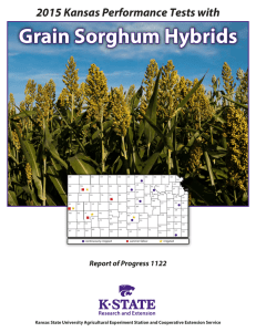 Grain Sorghum Hybrids 2015 Kansas Performance Tests with Report of Progress 1122