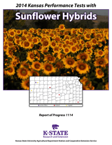 Sunflower Hybrids 2014 Kansas Performance Tests with Report of Progress 1114