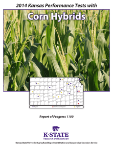 Corn Hybrids 2014 Kansas Performance Tests with Report of Progress 1109