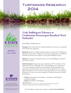 2014 Turfgrass Research ‘Cody’ Buffalograss Tolerance to Combination Postemergent Broadleaf-Weed
