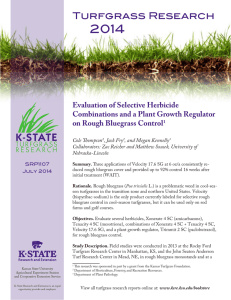 2014 Turfgrass Research Evaluation of Selective Herbicide Combinations and a Plant Growth Regulator