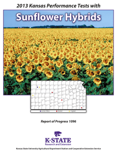 Sunflower Hybrids 2013 Kansas Performance Tests with Report of Progress 1096