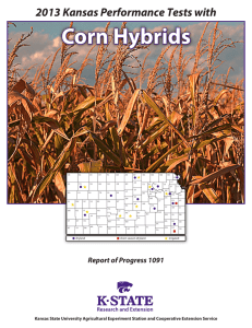 Corn Hybrids 2013 Kansas Performance Tests with Report of Progress 1091